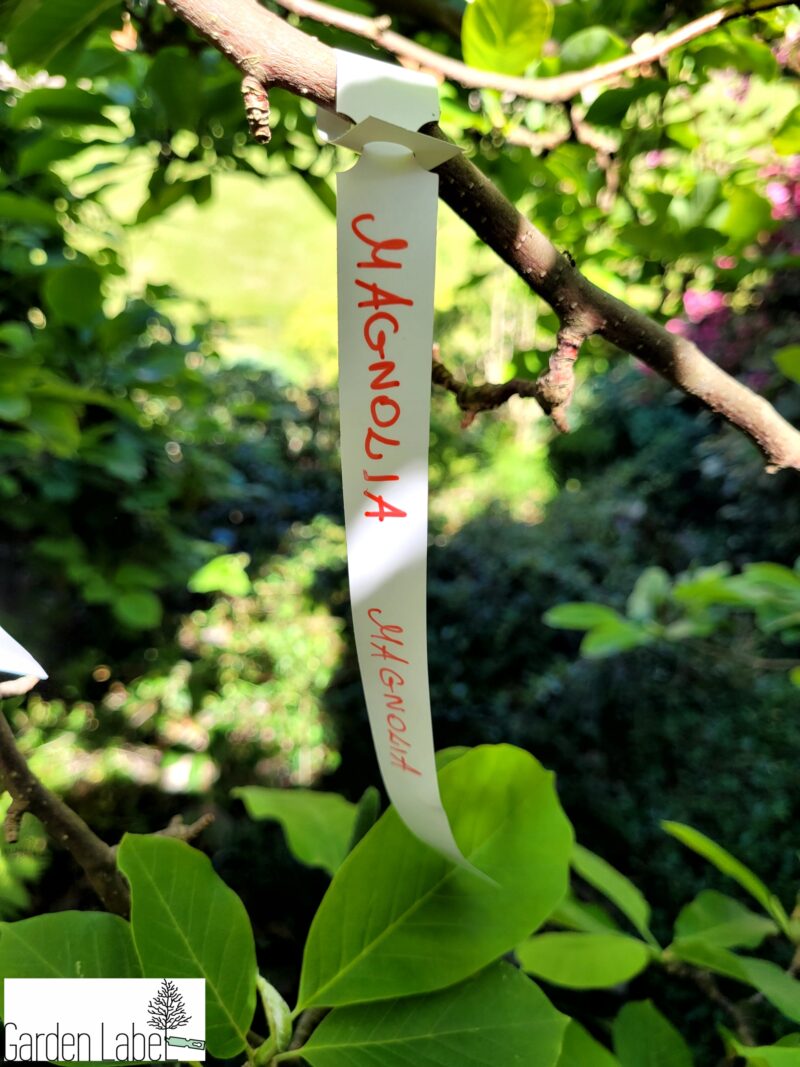 CZERWONY Marker ogrodniczy (mazak, pisak) permanentny odporny Garden Marker - Image 8