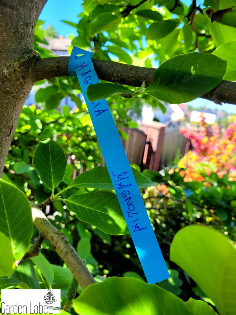 Etykiety ogrodnicze wiązane BDUŻE 400x20mm 10szt - obrazek 14