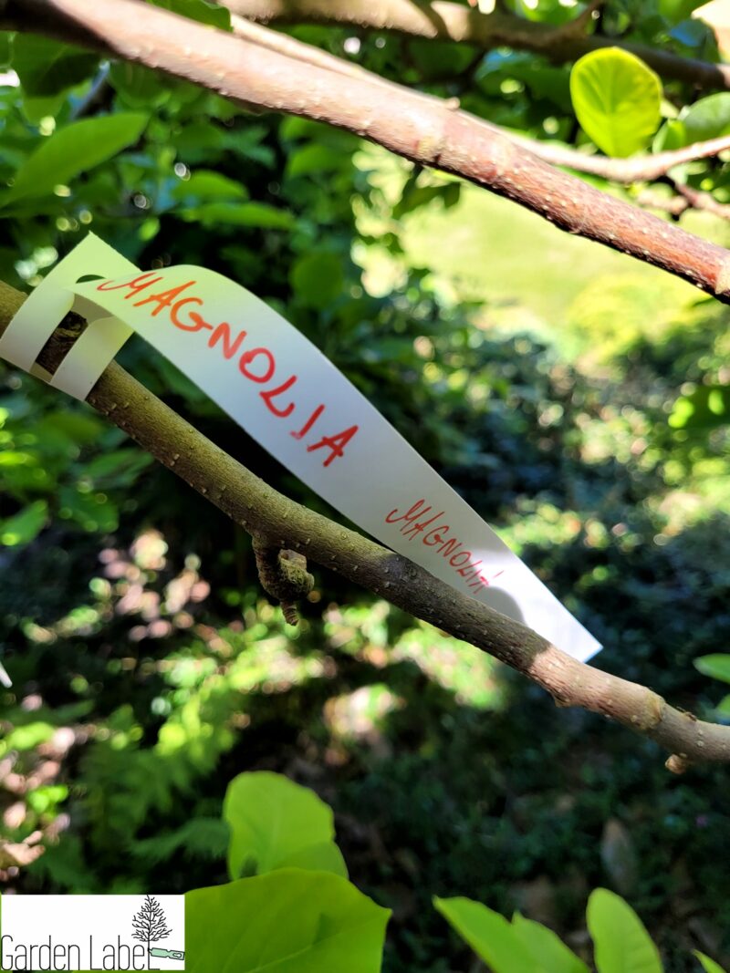 MARKER + 4 KOLORY Etykiety ogrodnicze pętlowe do pisania 200x17mm 400 sztuk (17x200) - obrazek 6