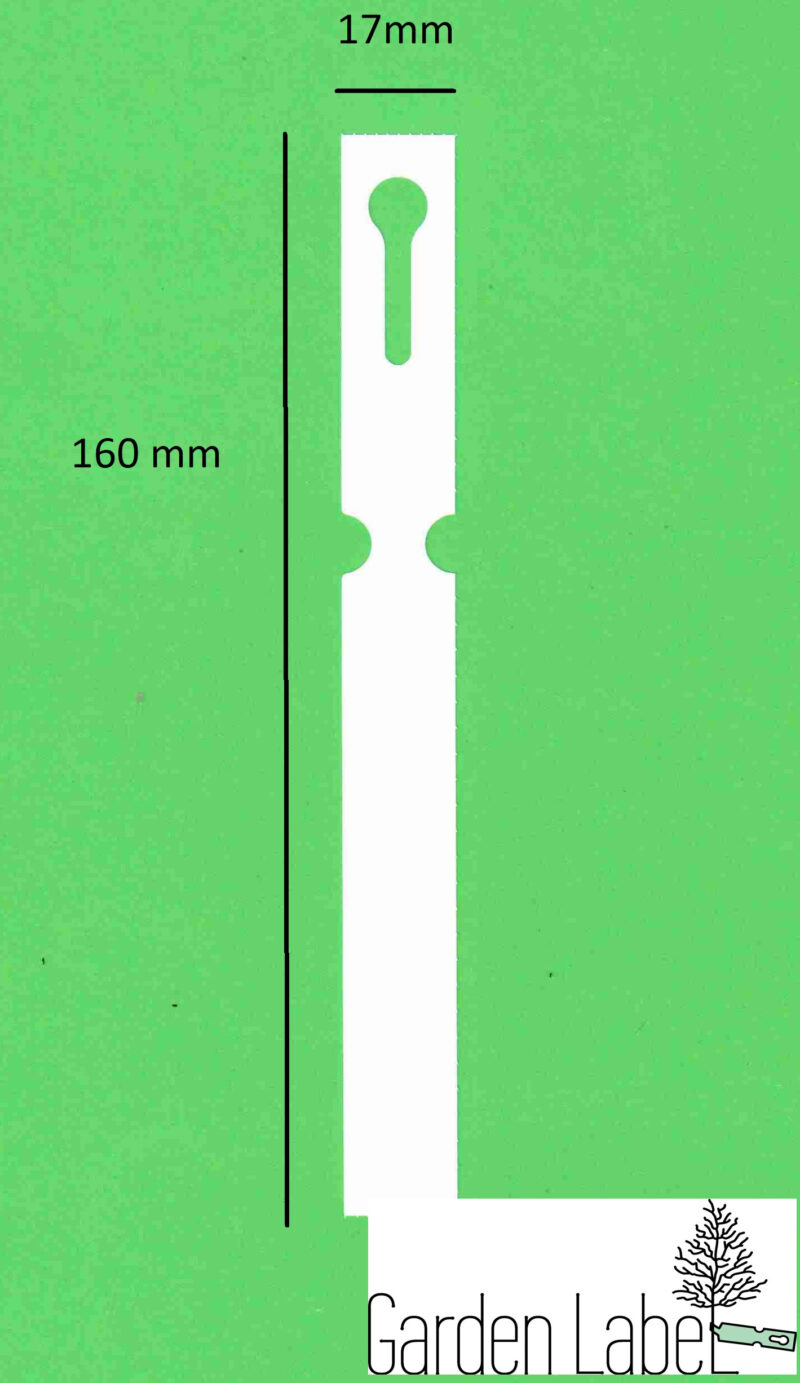 Etykiety do oznaczania roślin - ŻÓŁTA, 160x17mm, 120 szt.(17x160) - obrazek 5