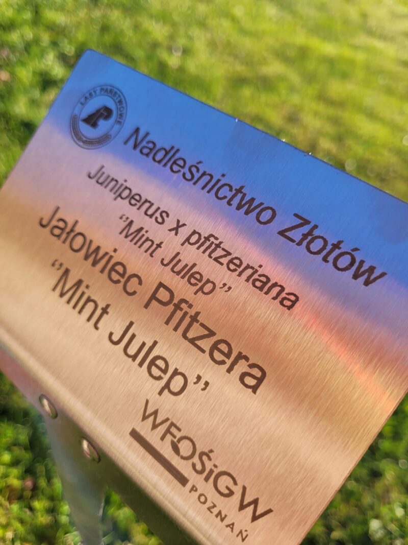 Tabliczka ogrodowa wtykana, 155x105x450 mm, CZARNA, Aluminium zestaw 10 szt - Image 7