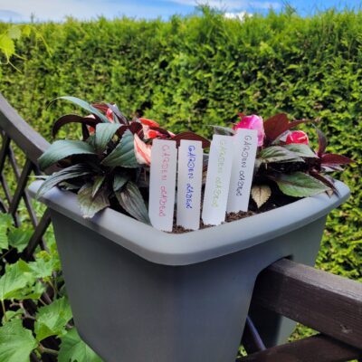 633392e93d4134f8fd5d411a546f2b07