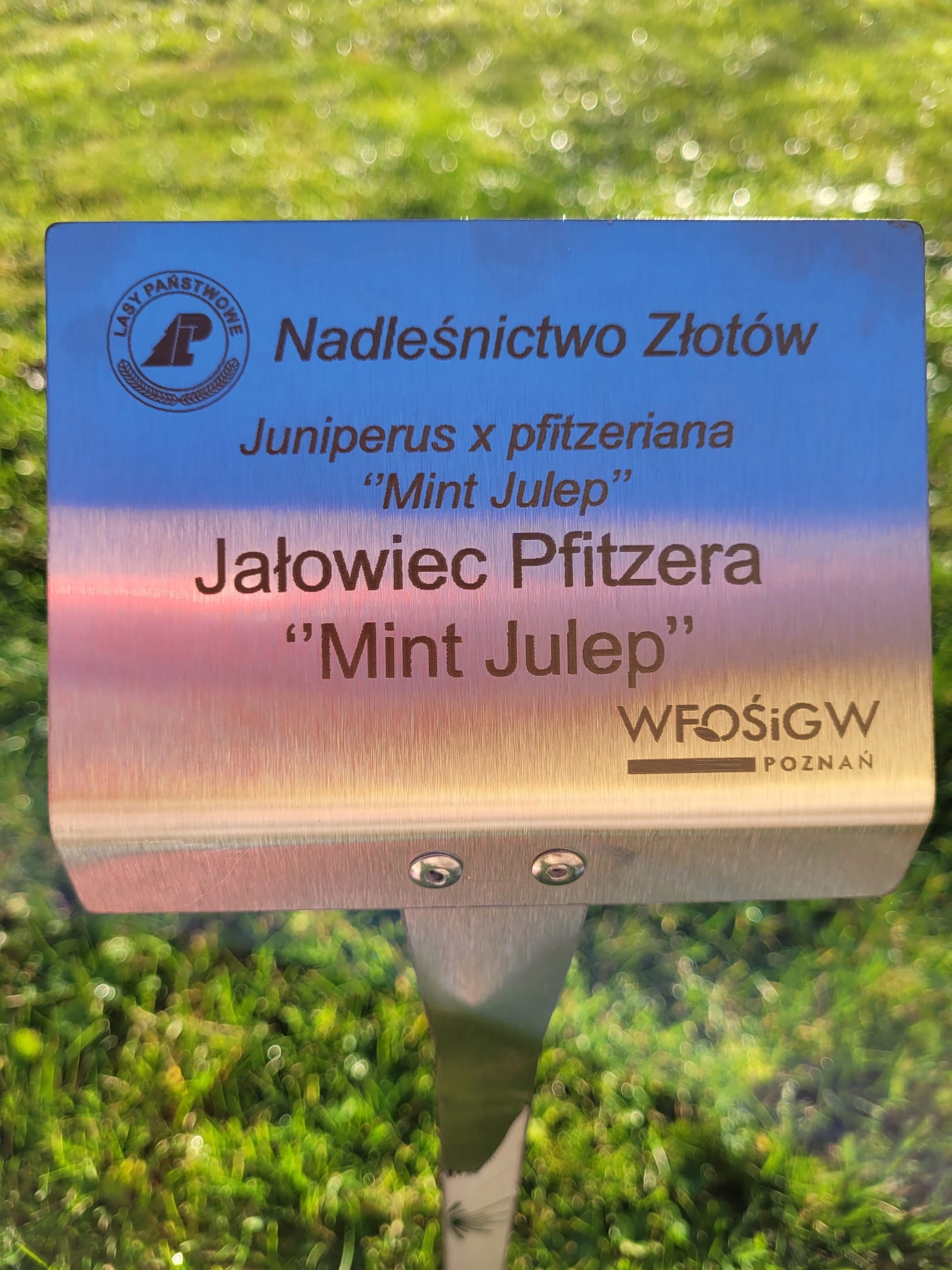 Tabliczka ogrodowa wtykana, 155x105x450 cm, CZARNA, Aluminium zestaw 5 szt. - obrazek 8