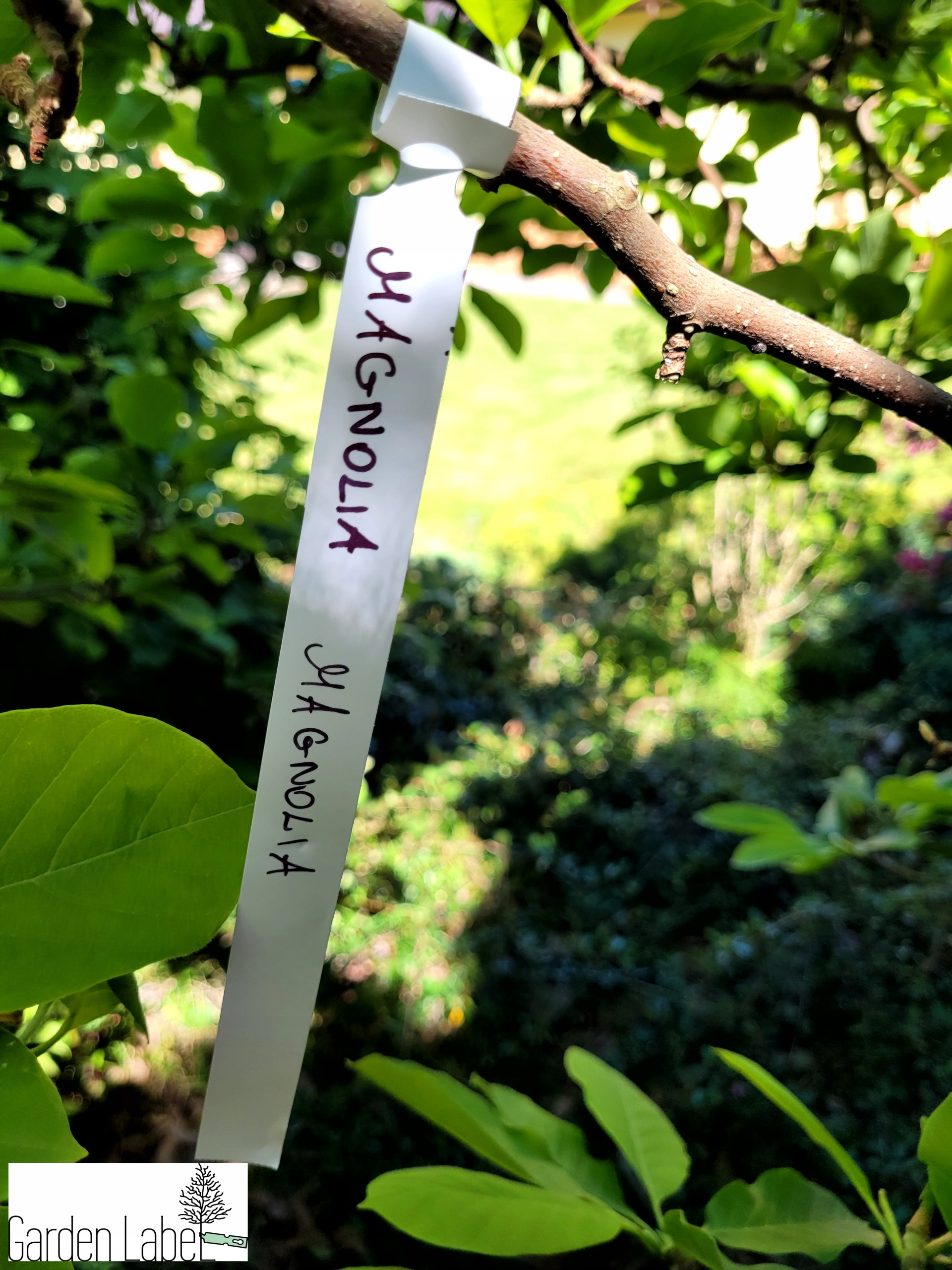 51e6b2e59b6c838e9b1148c6638a4df0