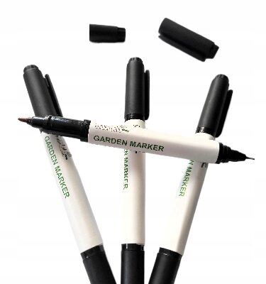 c63dbc101c4f1d96a595eb9ce98f5365