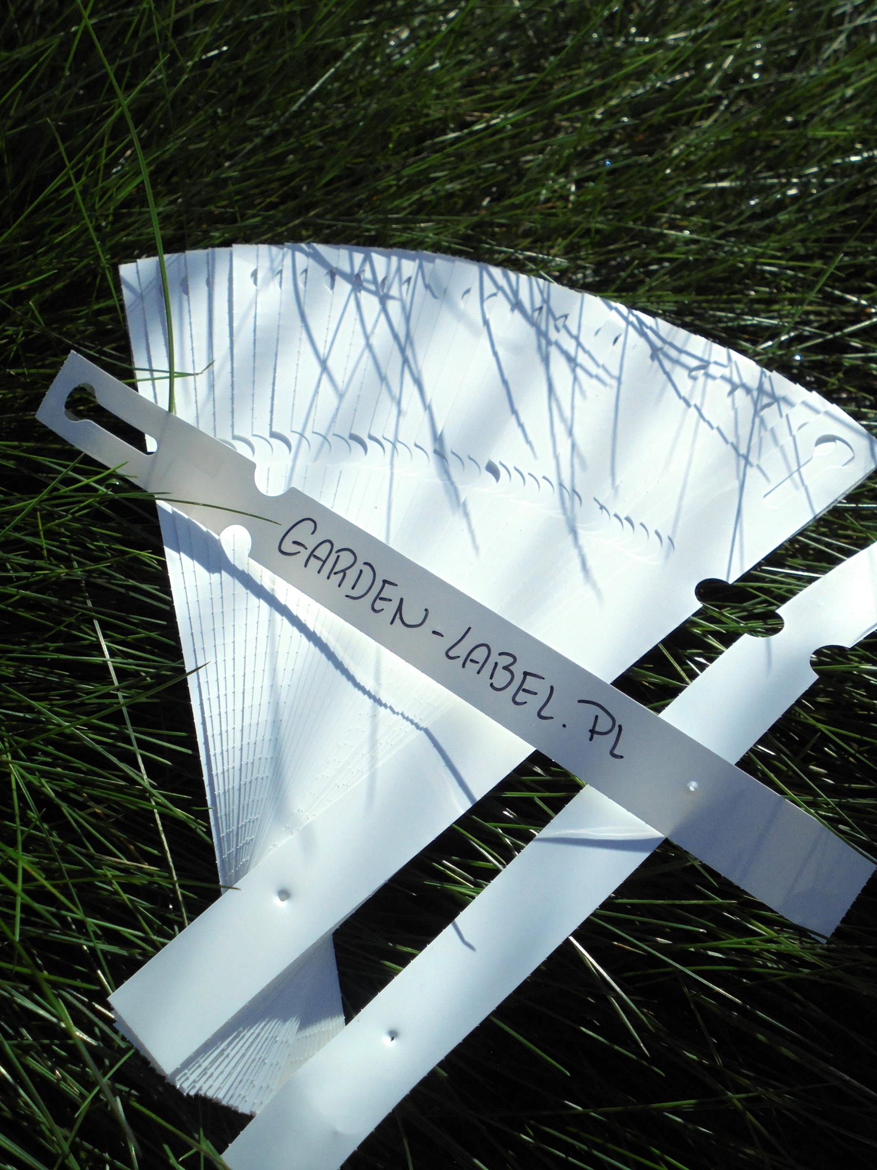 Etykiety ogrodnicze/sadownicze pętlowe BIAŁE 200x17mm(17x200) 240szt - obrazek 2