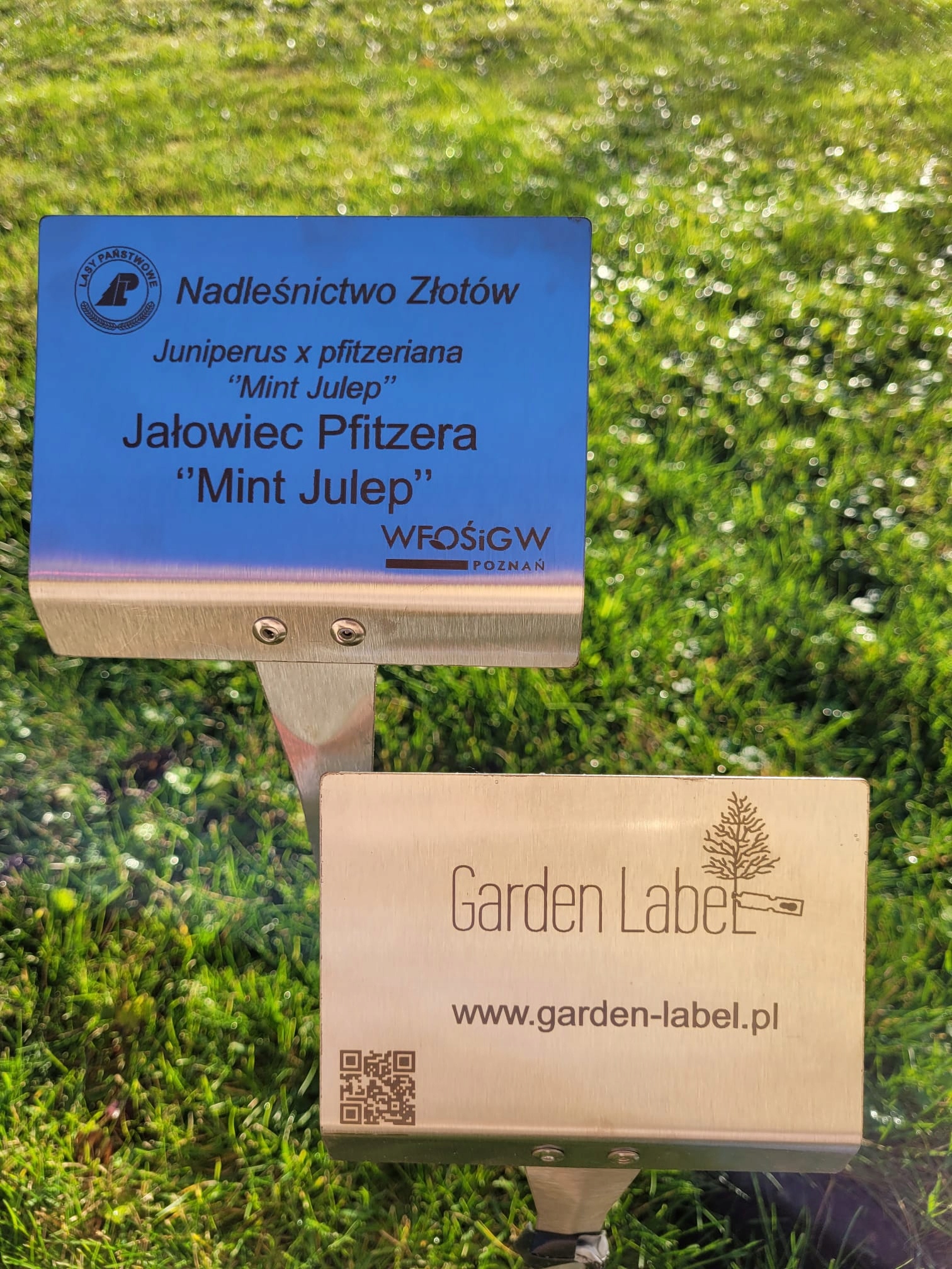 171f89ec117b3e4b9b5bc78fab4246a1