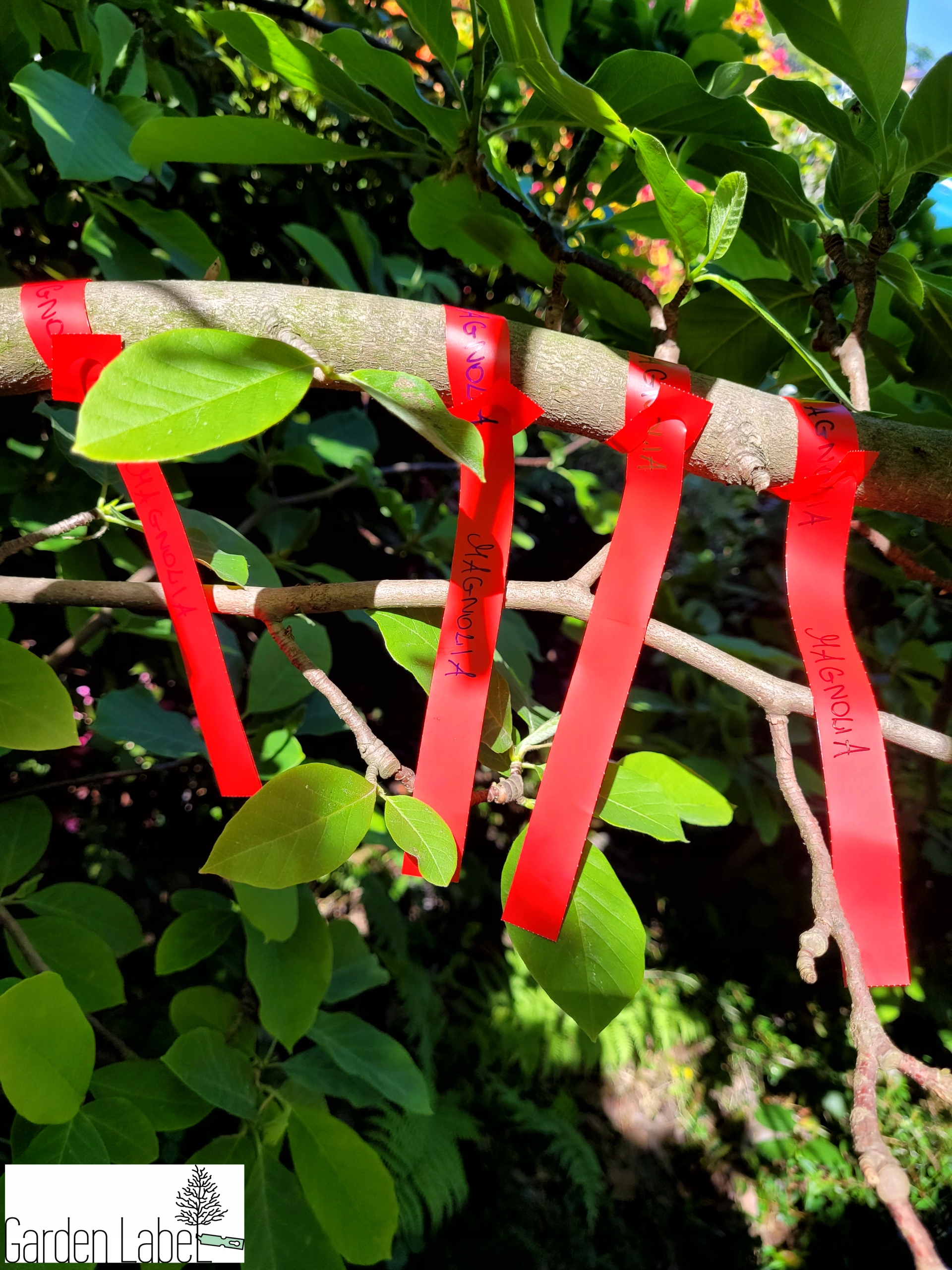 b13c5fdf1f1371b63024102ad9514158