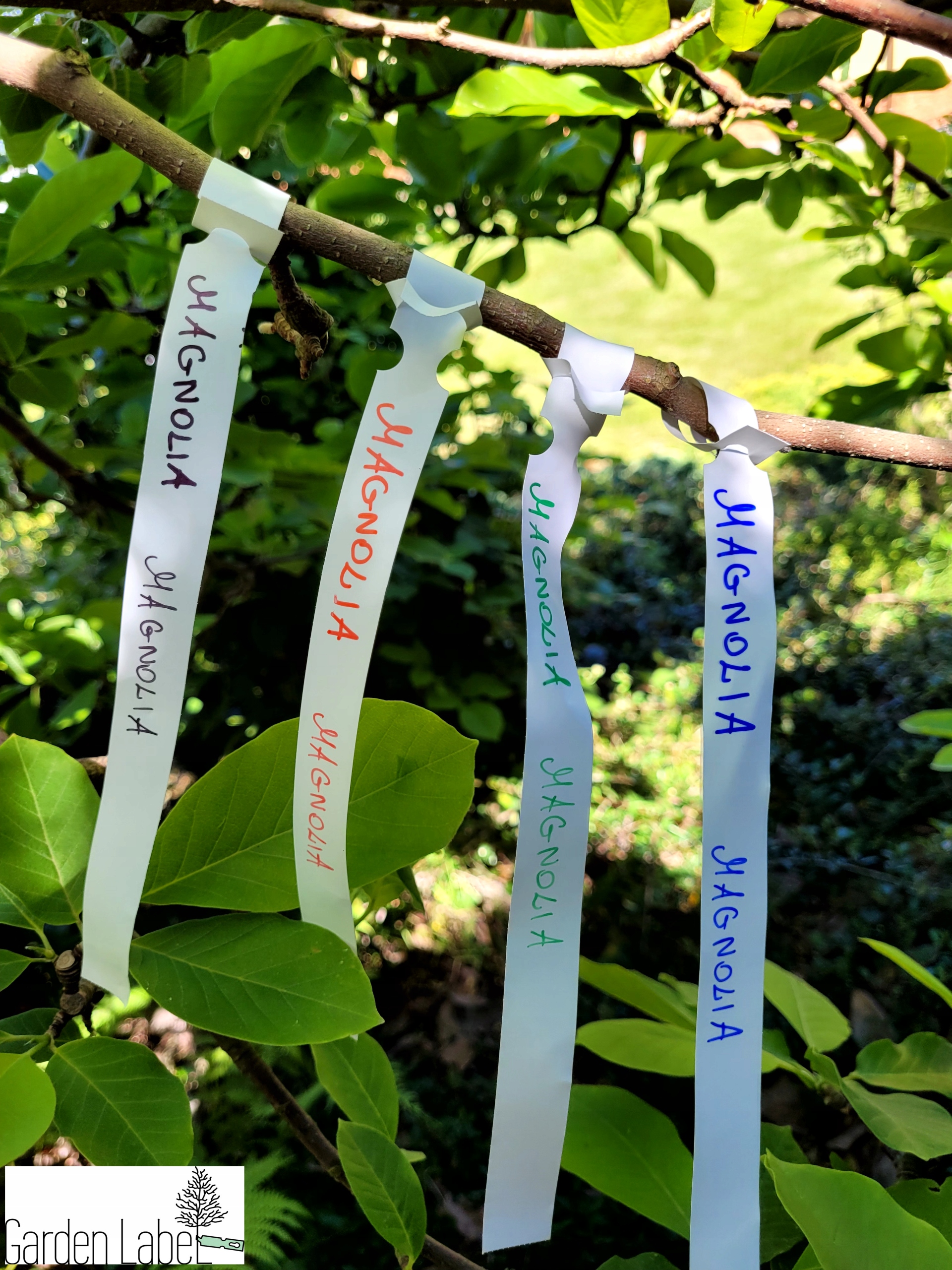 0772080d8bb159a713e6f3fa38d15ee7