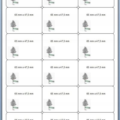 4225cf349957b3cca315e0e88d85ece4