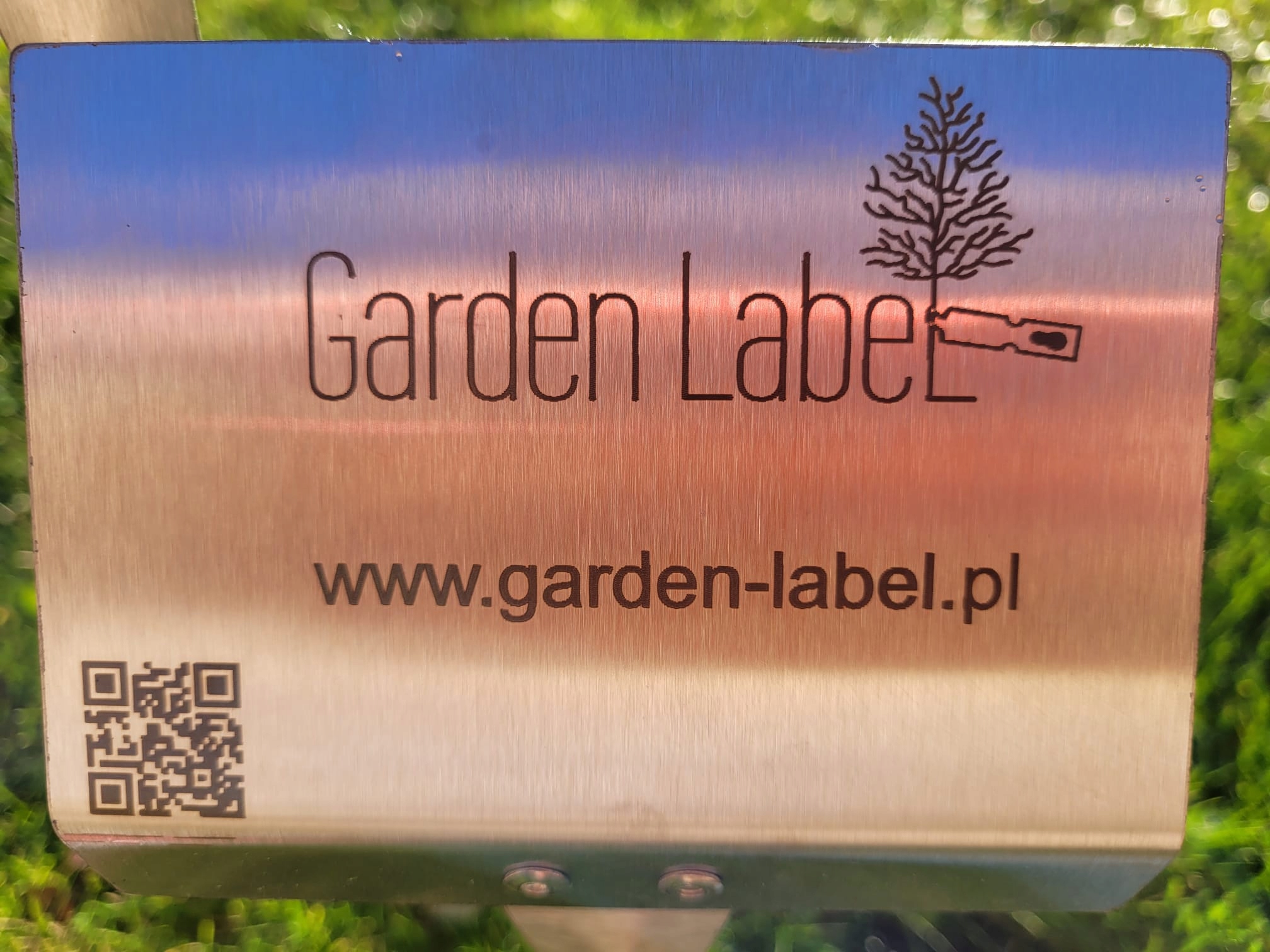 ade96006ef84978cbcf4c43b9322cad2