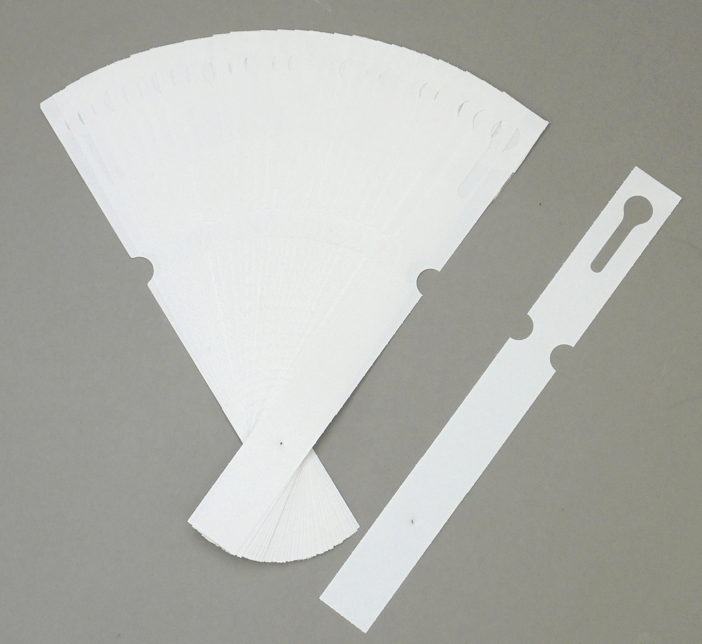 Etykiety pętlowe do opisu roślin BIAŁE 160mm x 17mm (17x160) 100 szt - obrazek 15