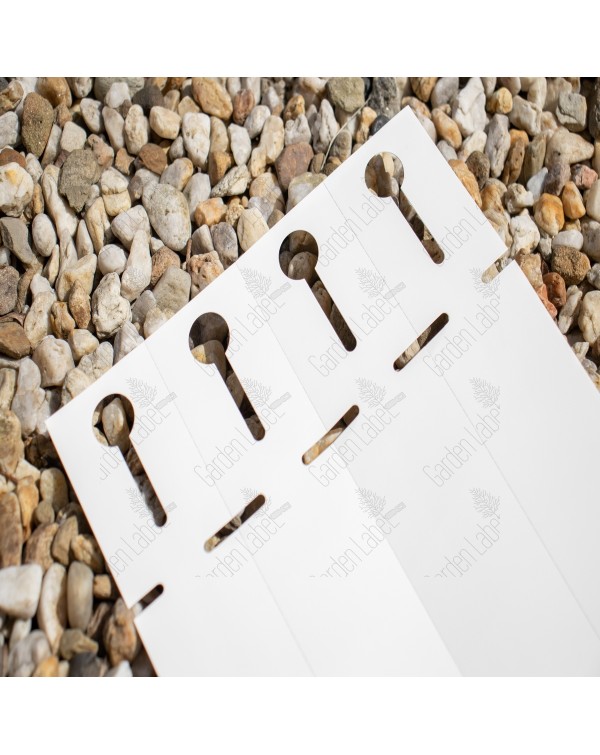 Etykieta pętlowa - Loop Label 29 x 210 mm without tear-off tab (10) A4 sheets (3064) FloraLabels - obrazek 4