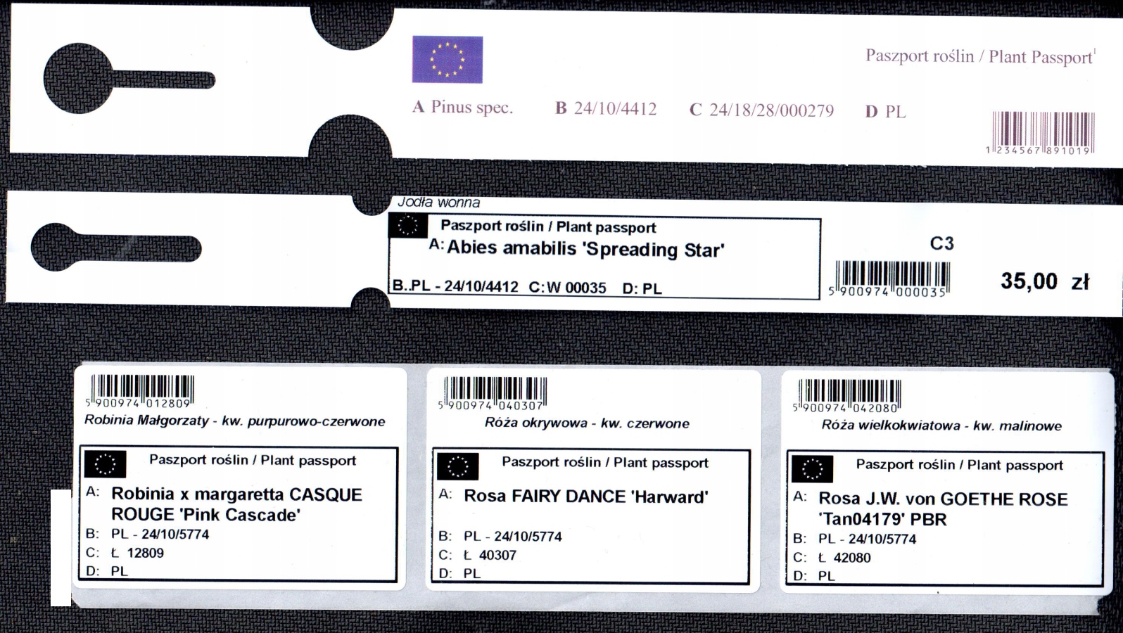 Etykiety ogrodnicze/sadownicze pętlowe CZERWONE(60-155)327x20mm(20x327) 1000 szt - obrazek 12