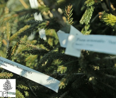 0a22be6ee969aa542236411786283c4e