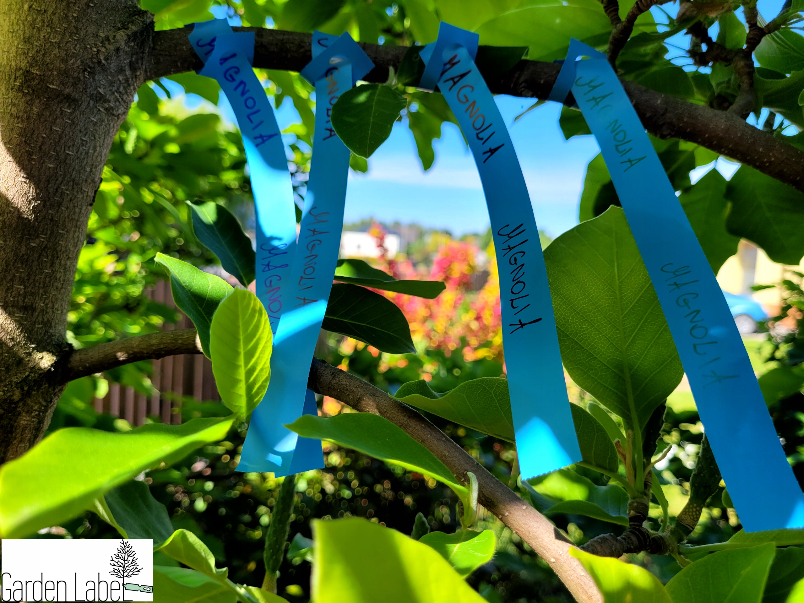 Etykiety pętlowe do ogrodnictwa NIEBIESKIE 250mm x 17mm - 100 sztuk - obrazek 3