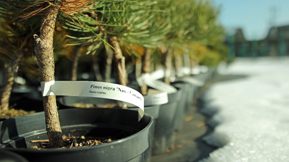 48a61f952808f00acfc70d0f638d2a01