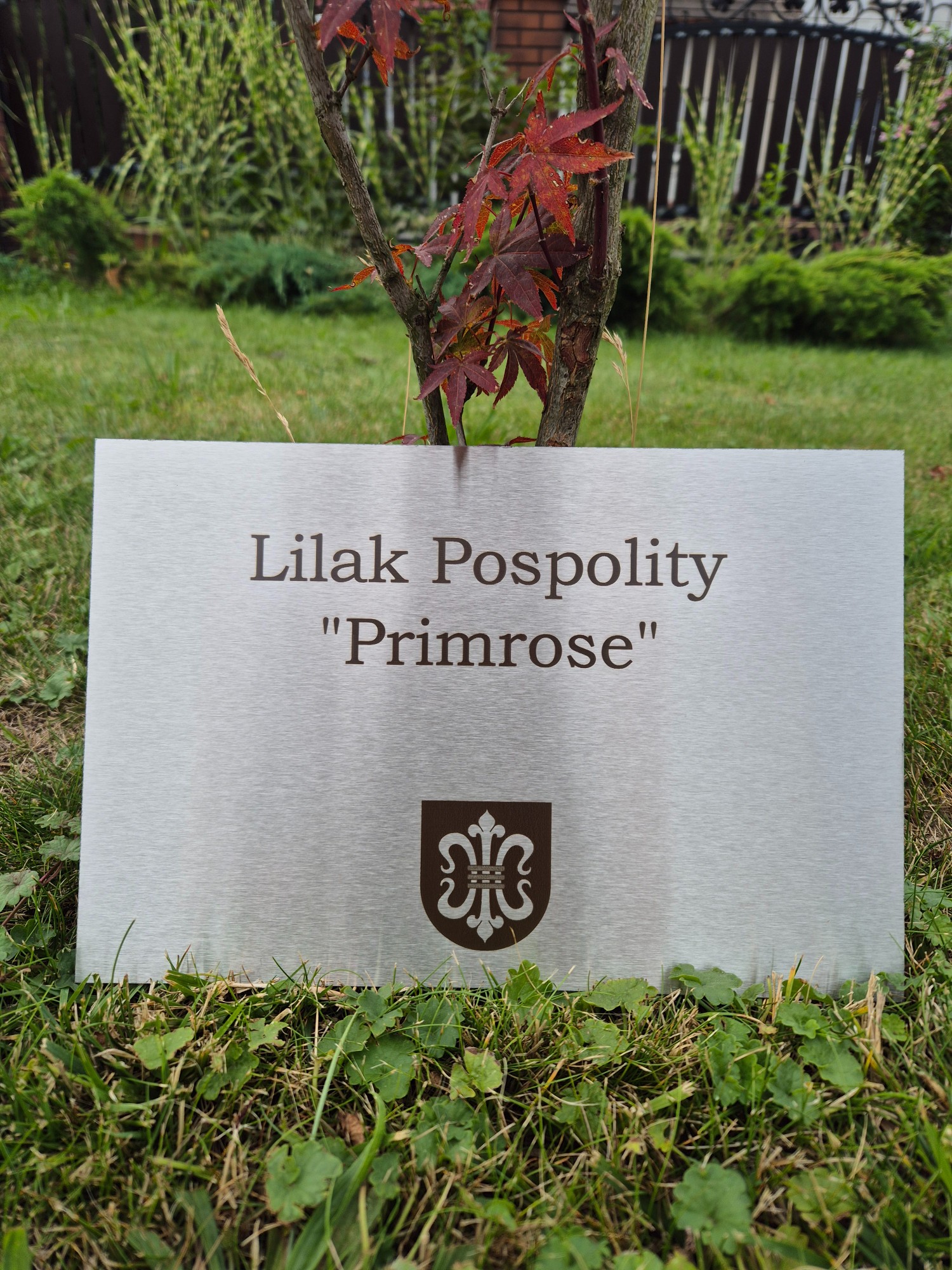 8ffc59b21659e0ae53dc4c16e0925a73