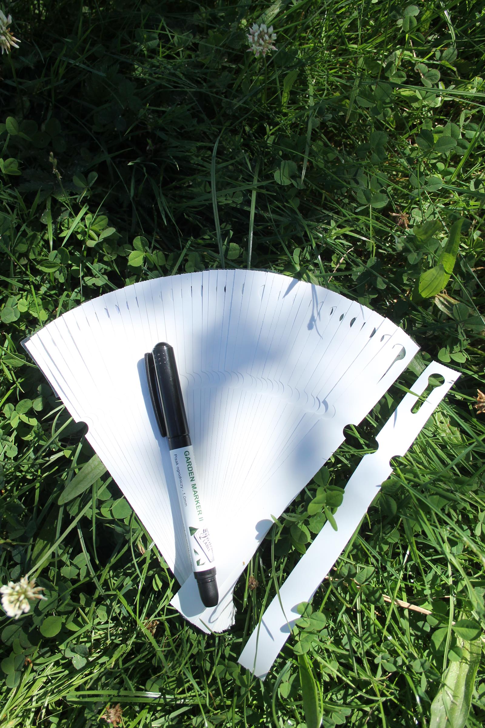 fcee582b2b464e4c97b7dedb7caaefd1