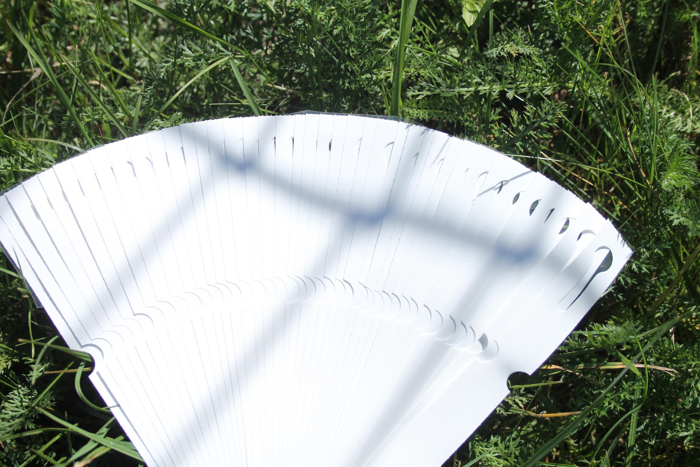 456bc9d624250b3e20a26abe3b34f7ba