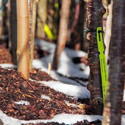 cc8463c2c50671fb6286533dd66a41bb