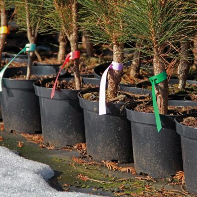 6871449b02e9657c6e02ed030d2fd088