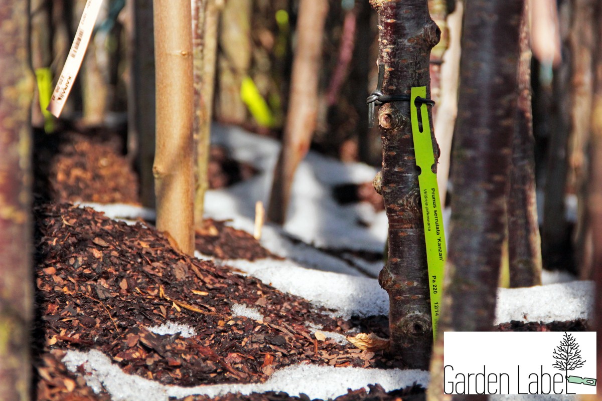 Etykiety ogrodnicze/sadownicze pętlowe BIAŁE 200x17mm(17x200) 1000szt - obrazek 10