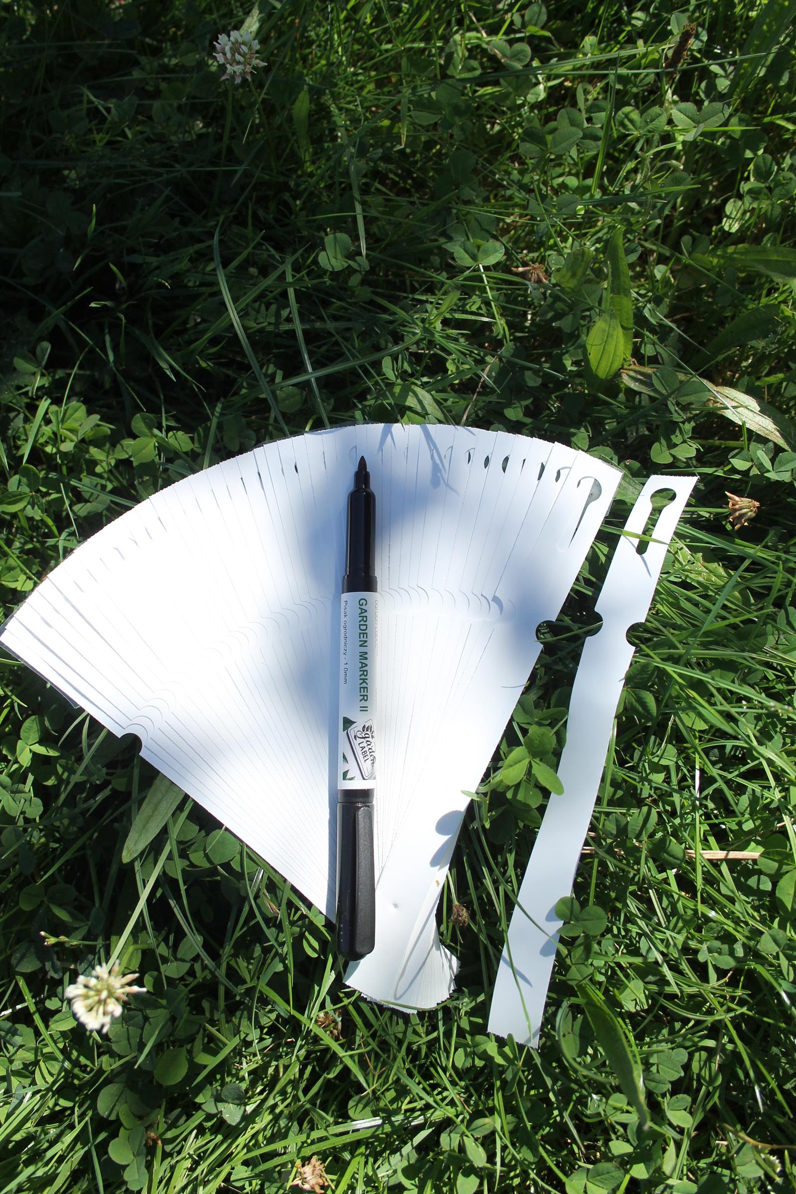 9cdb9af0661a0eb8f6c16fe1ed21eea8