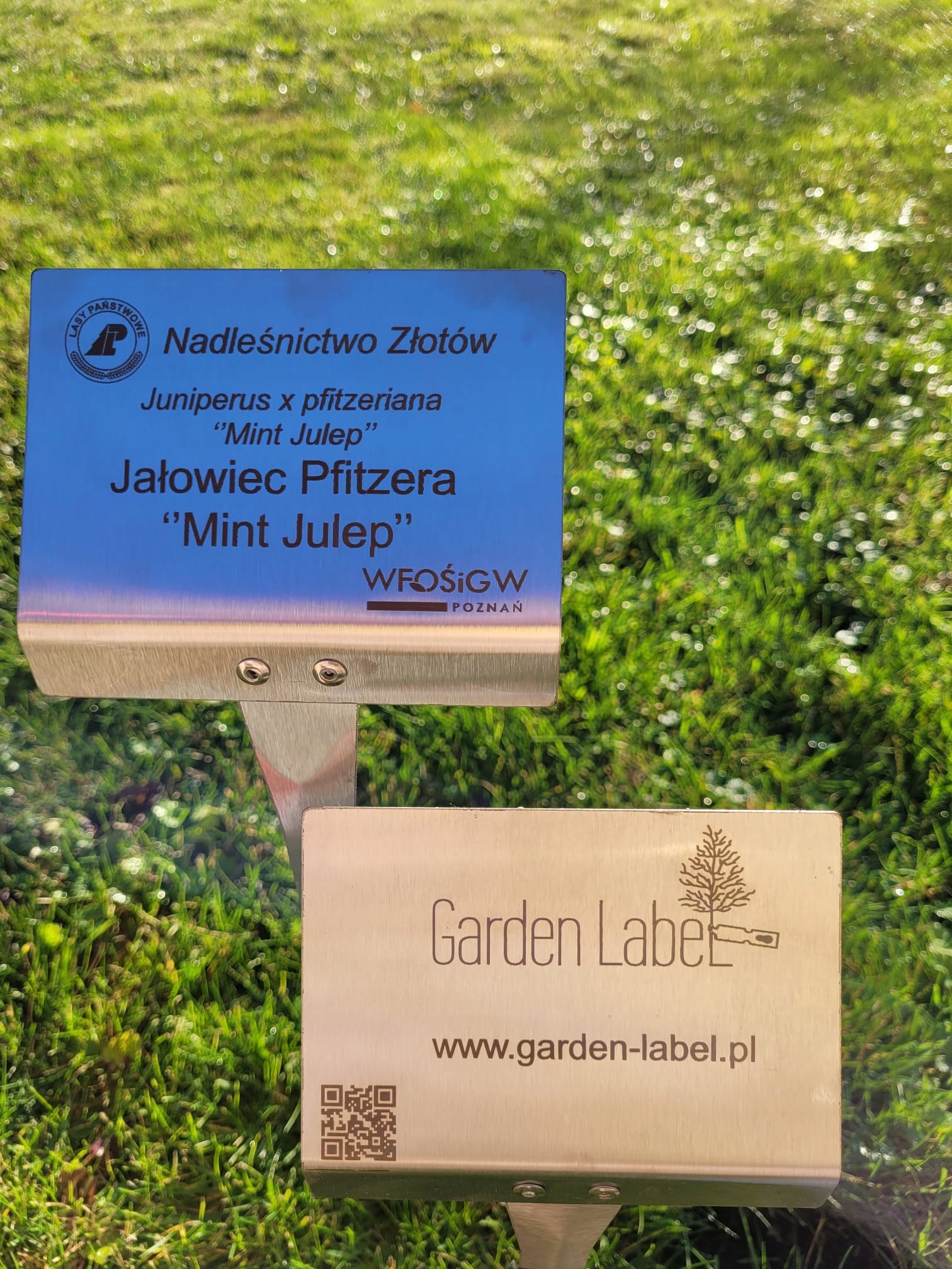 Tabliczka ogrodowa wtykana, 155x105x450 cm, CZARNA, Aluminium zestaw 5 szt. - obrazek 6