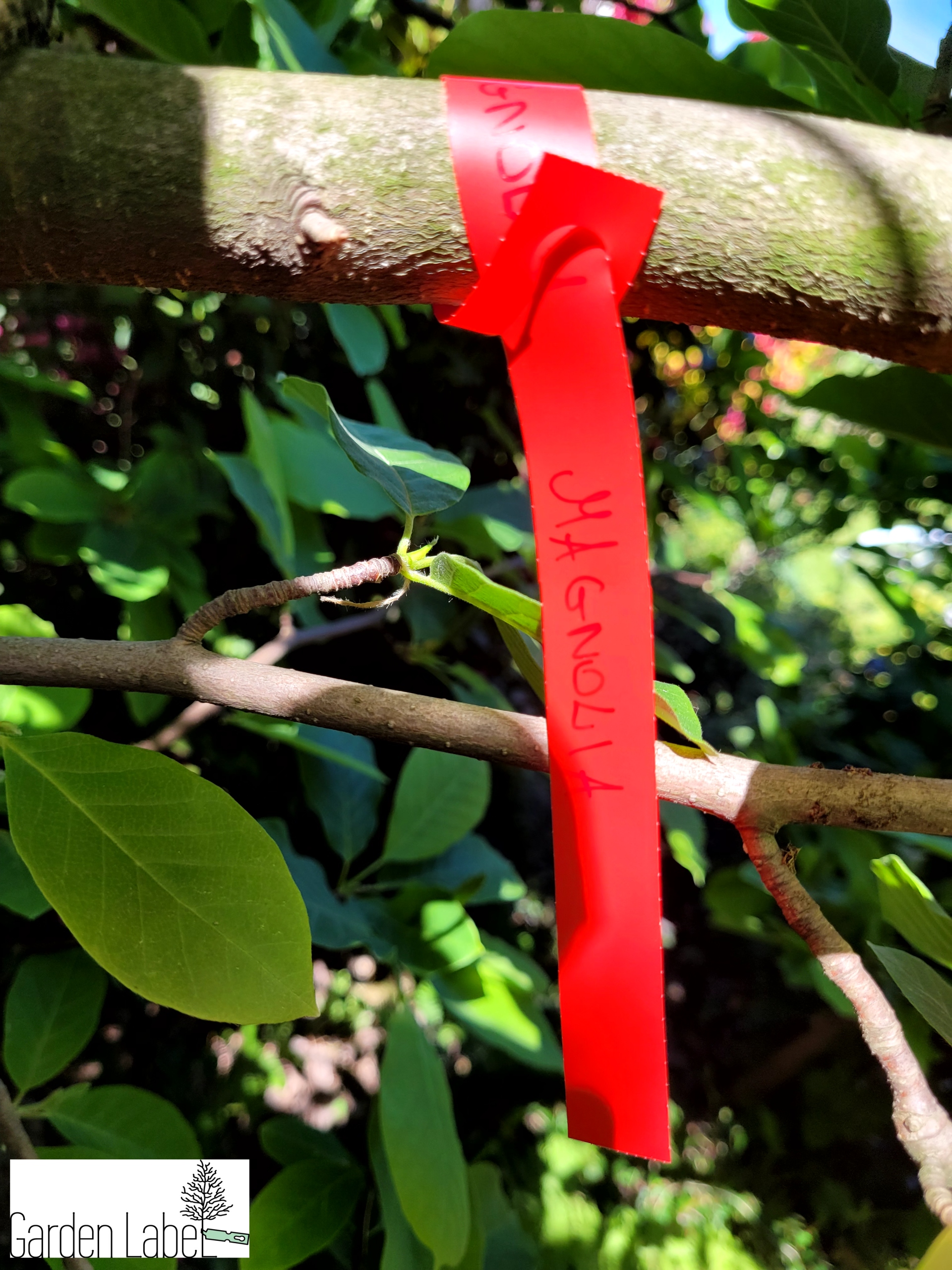 Etykiety pętlowe do opisu roślin BIAŁE 160mm x 17mm (17x160) 100 szt - obrazek 13