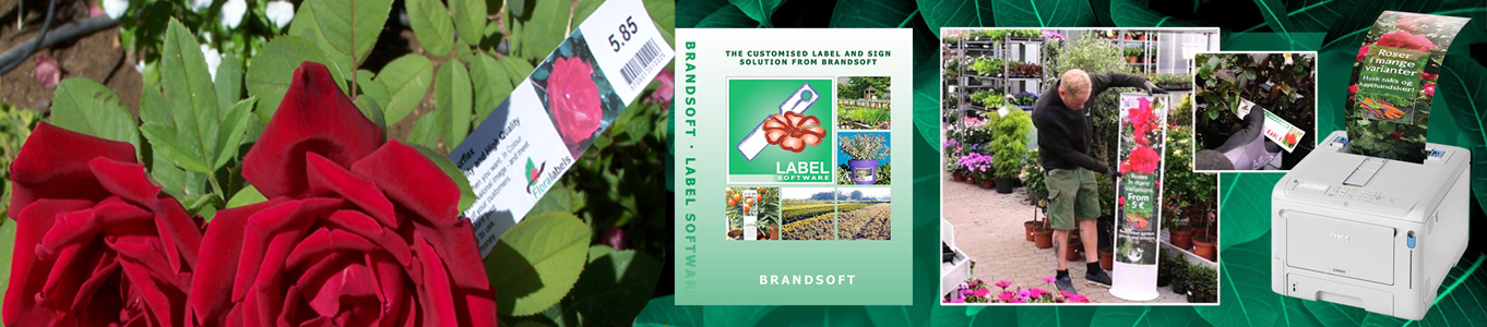 Etykiety wtykane - Pot Label 25 x 115 mm (8) (3026) FloraLabels - obrazek 5