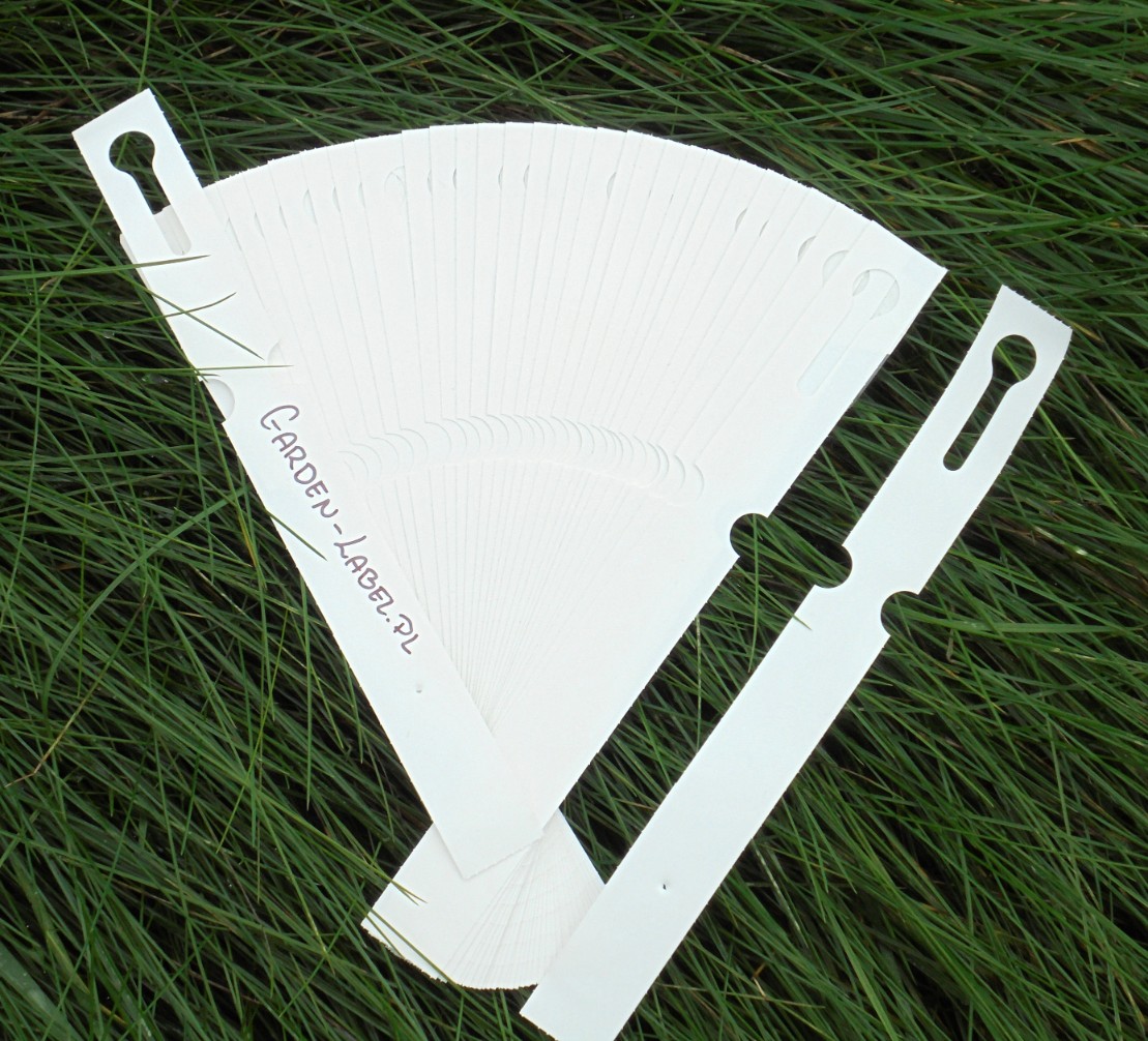 23dbe70a72589b95edfca91cb54cd416