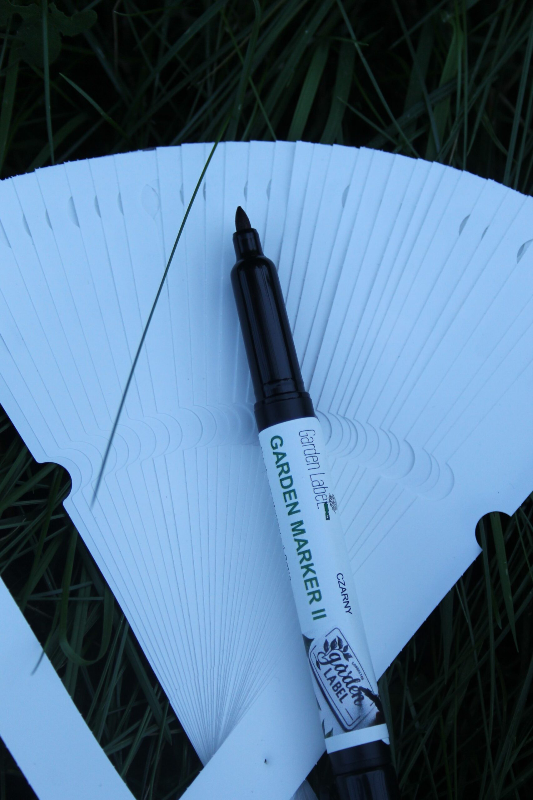 17445975f26a024d2ba525cc2e5606ae