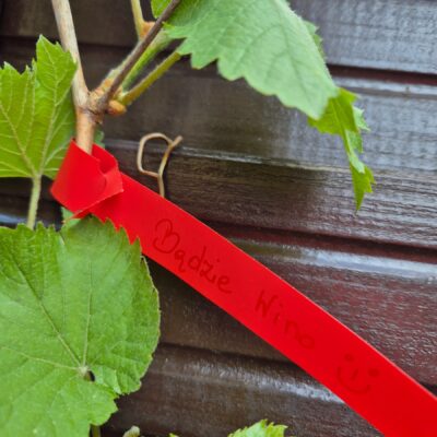 1b23b587da23d57b8ee5cb046c48aad5