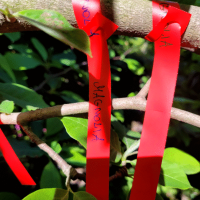 704e2fae1a10dd7997e18f4e00c5b594