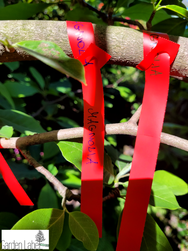 704e2fae1a10dd7997e18f4e00c5b594