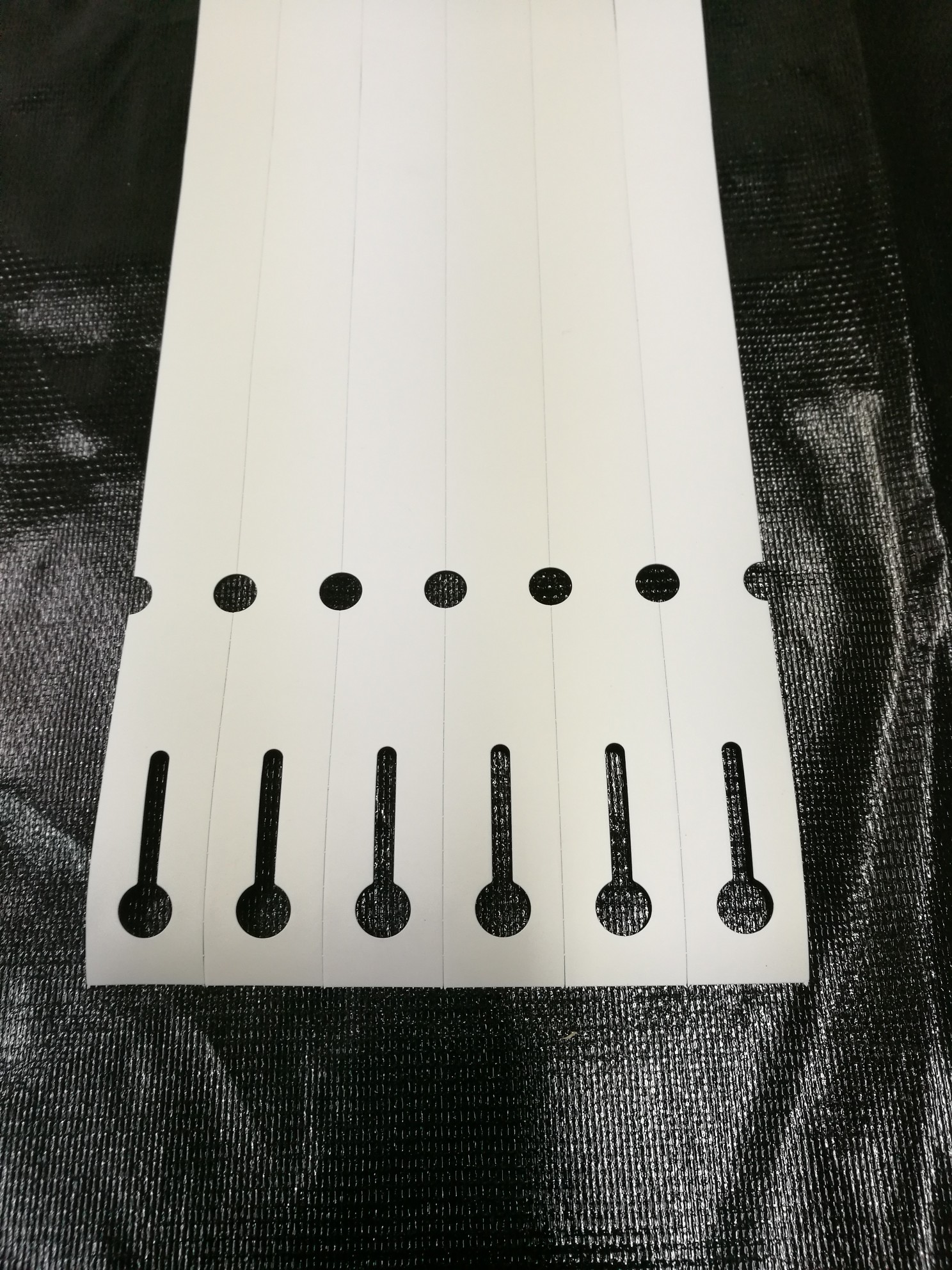 74e9edfe498d981c1660abea7c6a006c