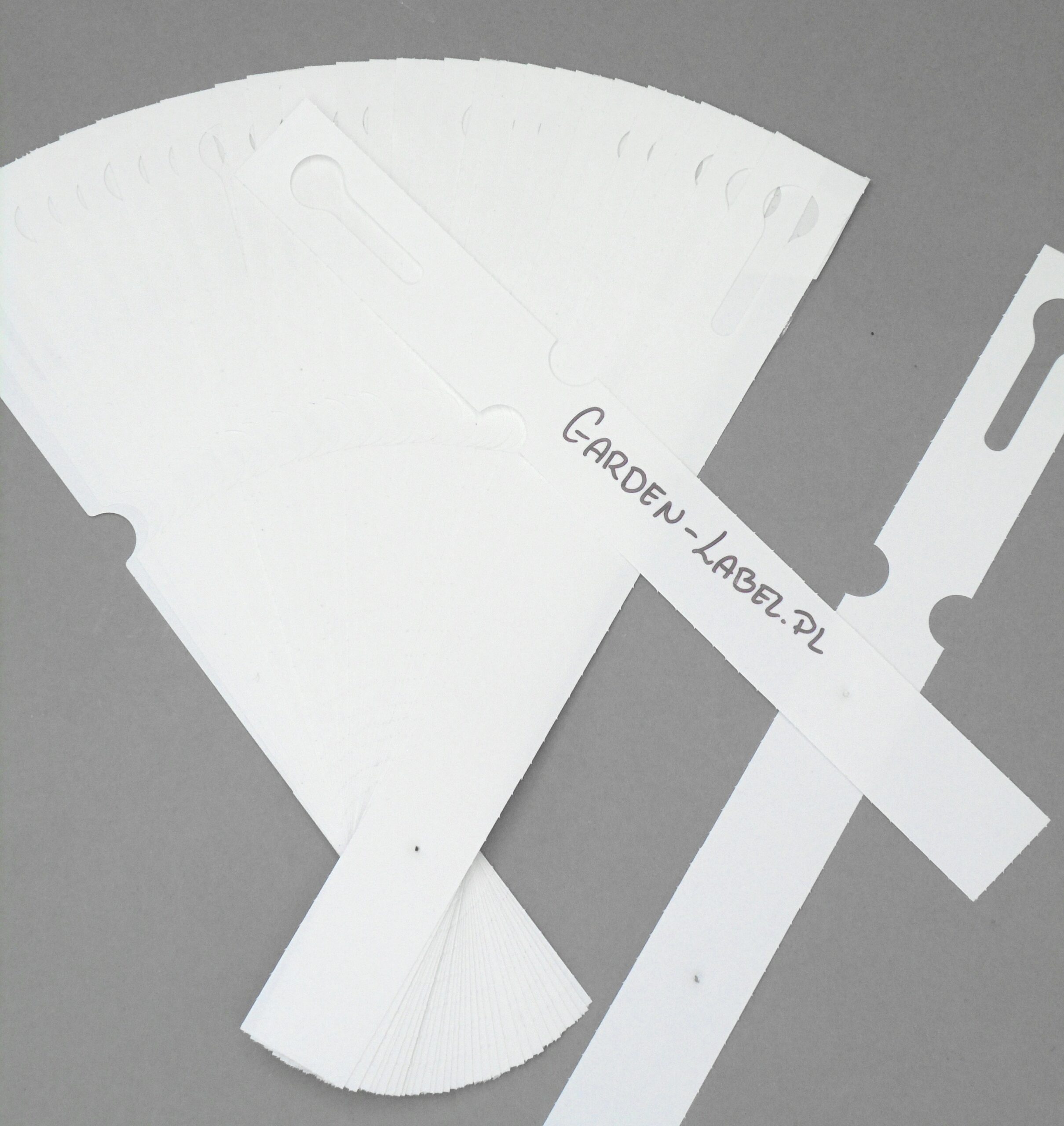 Etykiety pętlowe do opisu roślin BIAŁE 160mm x 17mm (17x160) 100 szt - obrazek 5