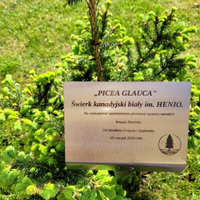 54967a9a3fa070d39740adffaab192da