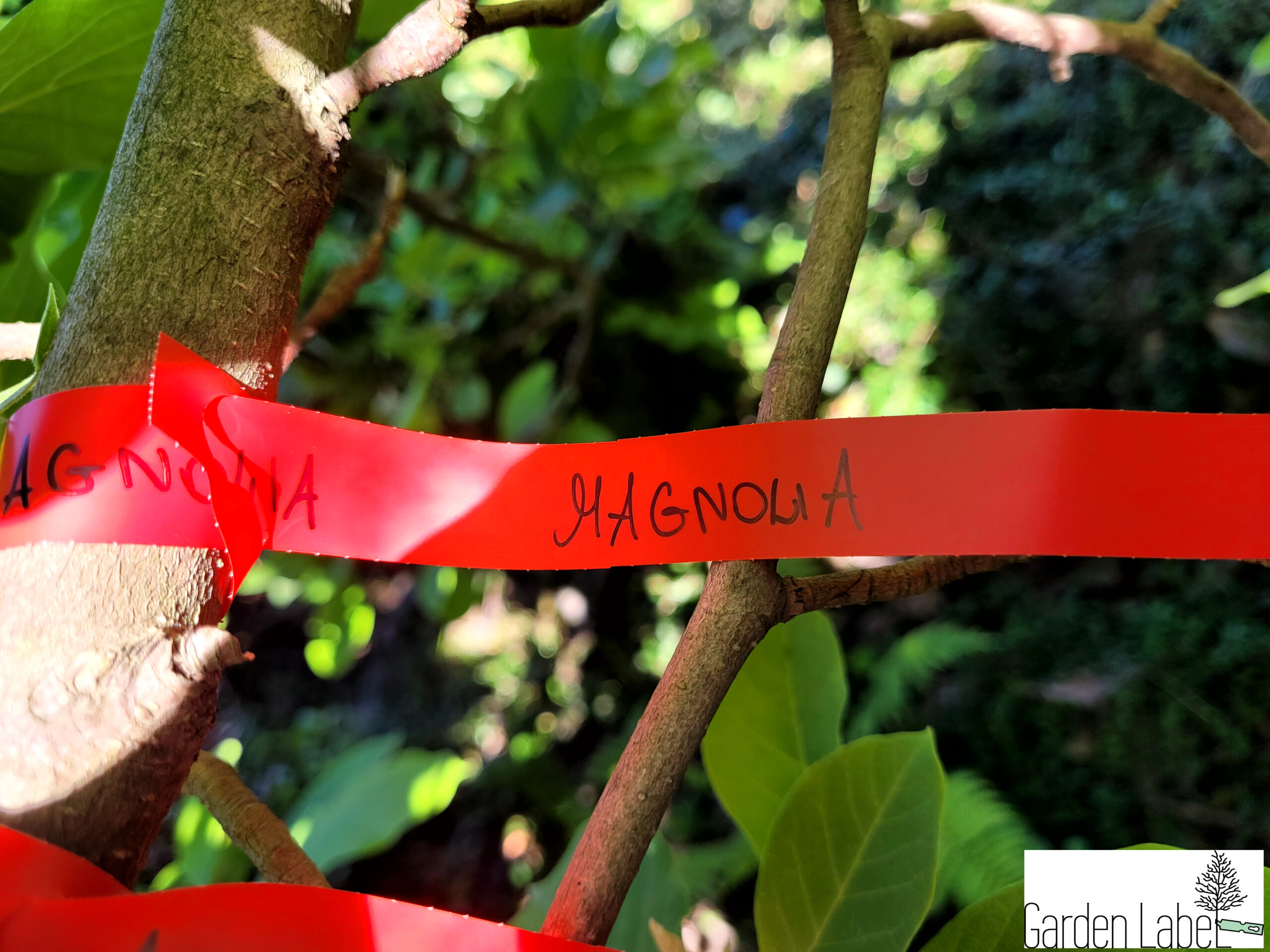 Etykiety ogrodnicze/sadownicze pętlowe CZERWONE 250x17mm(17x250) 12szt - obrazek 7