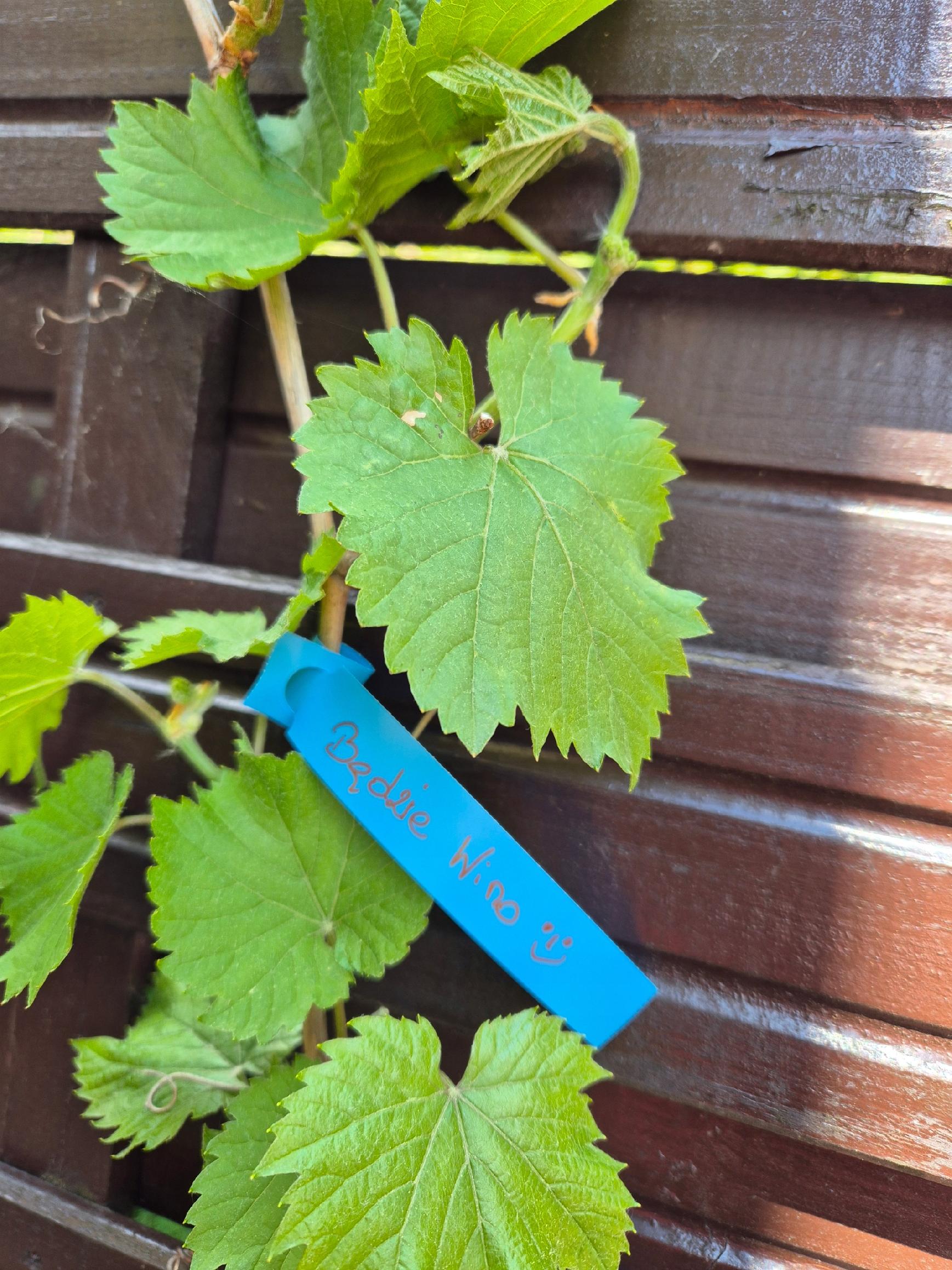 d13db9a069fe0370ffefbb51fdda0d62