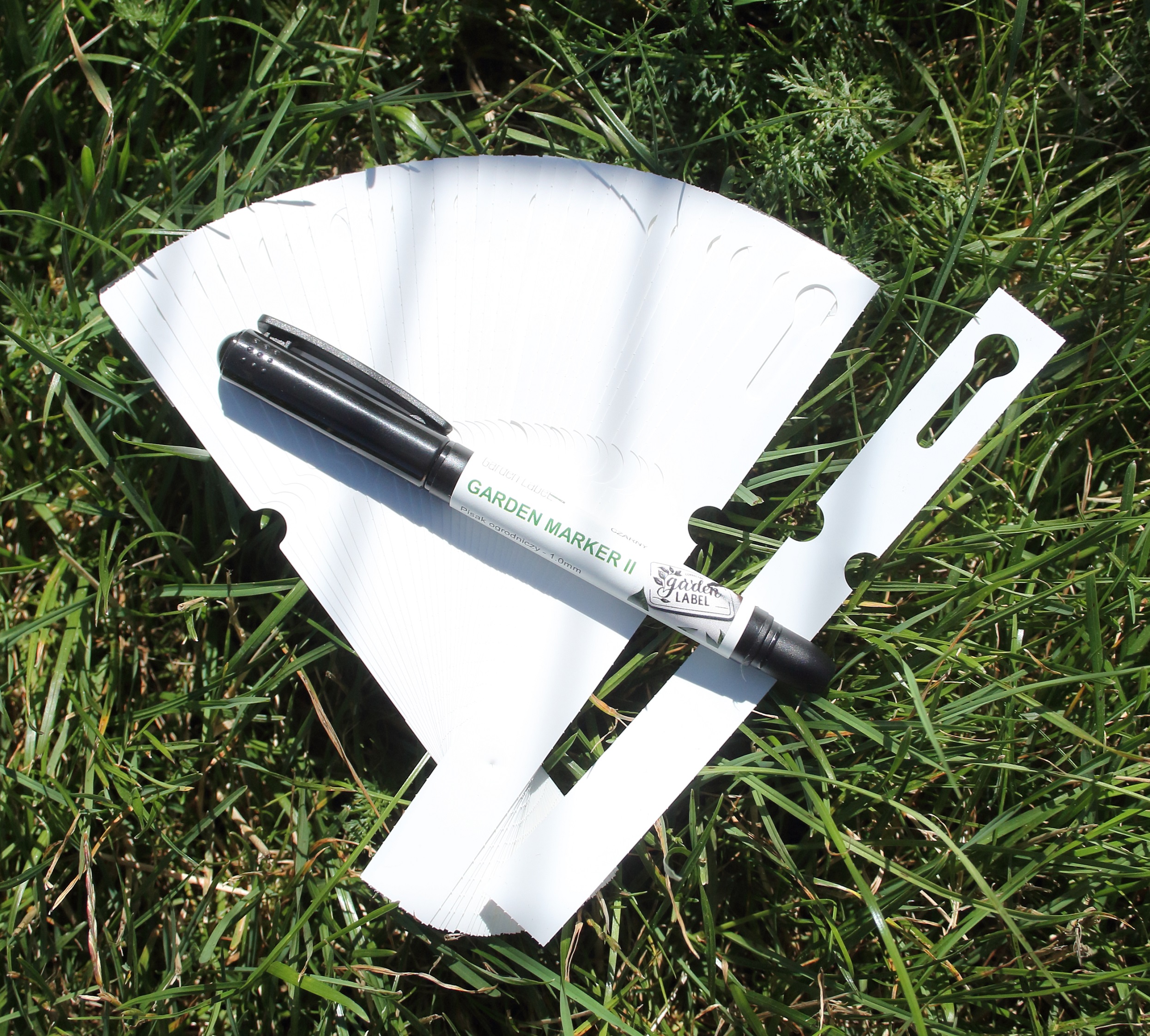 c48b1d64df9a07ecbf3027d7a804f590