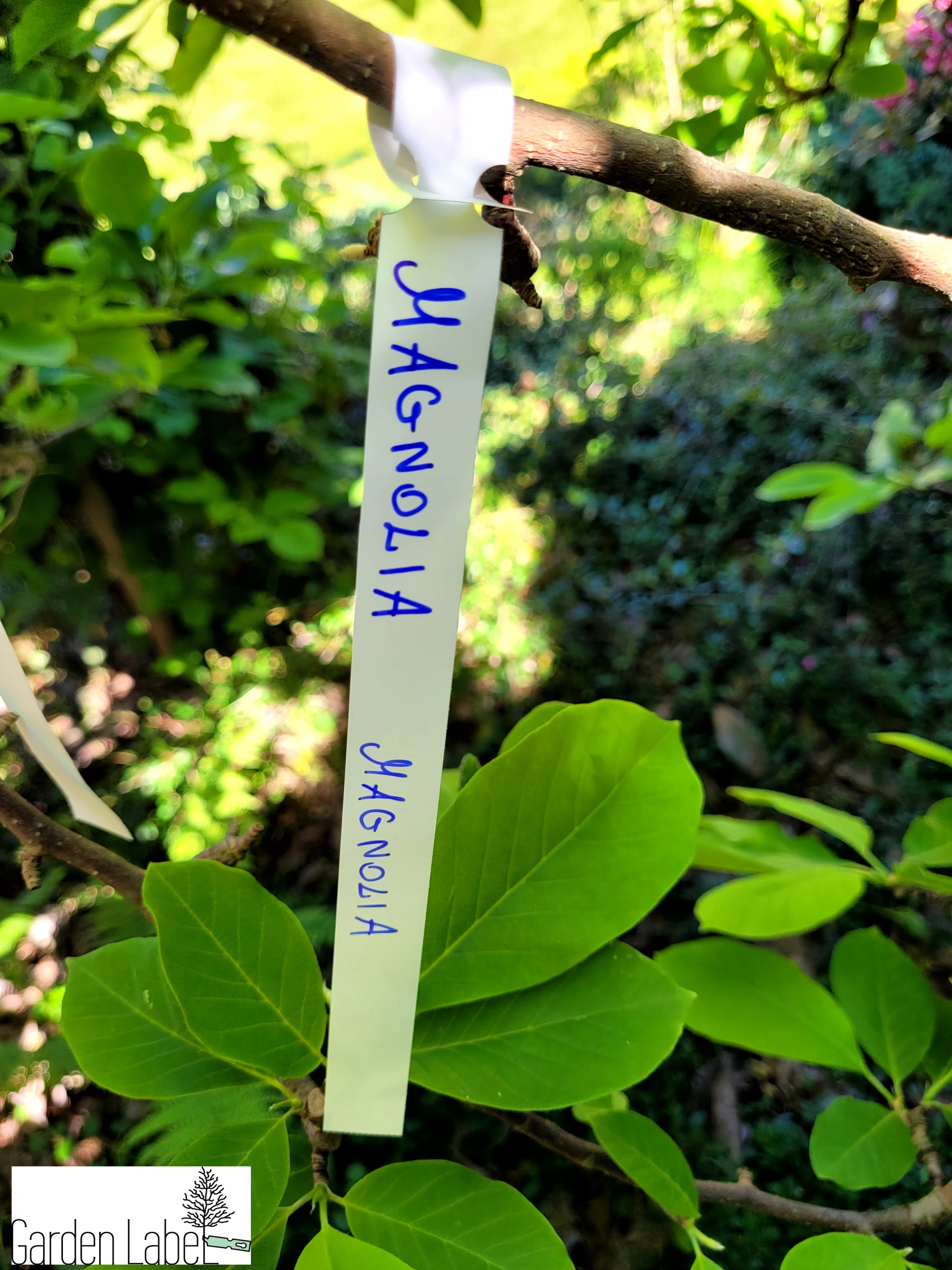 Etykiety pętlowe do opisu roślin BIAŁE 160mm x 17mm (17x160) 100 szt - obrazek 2