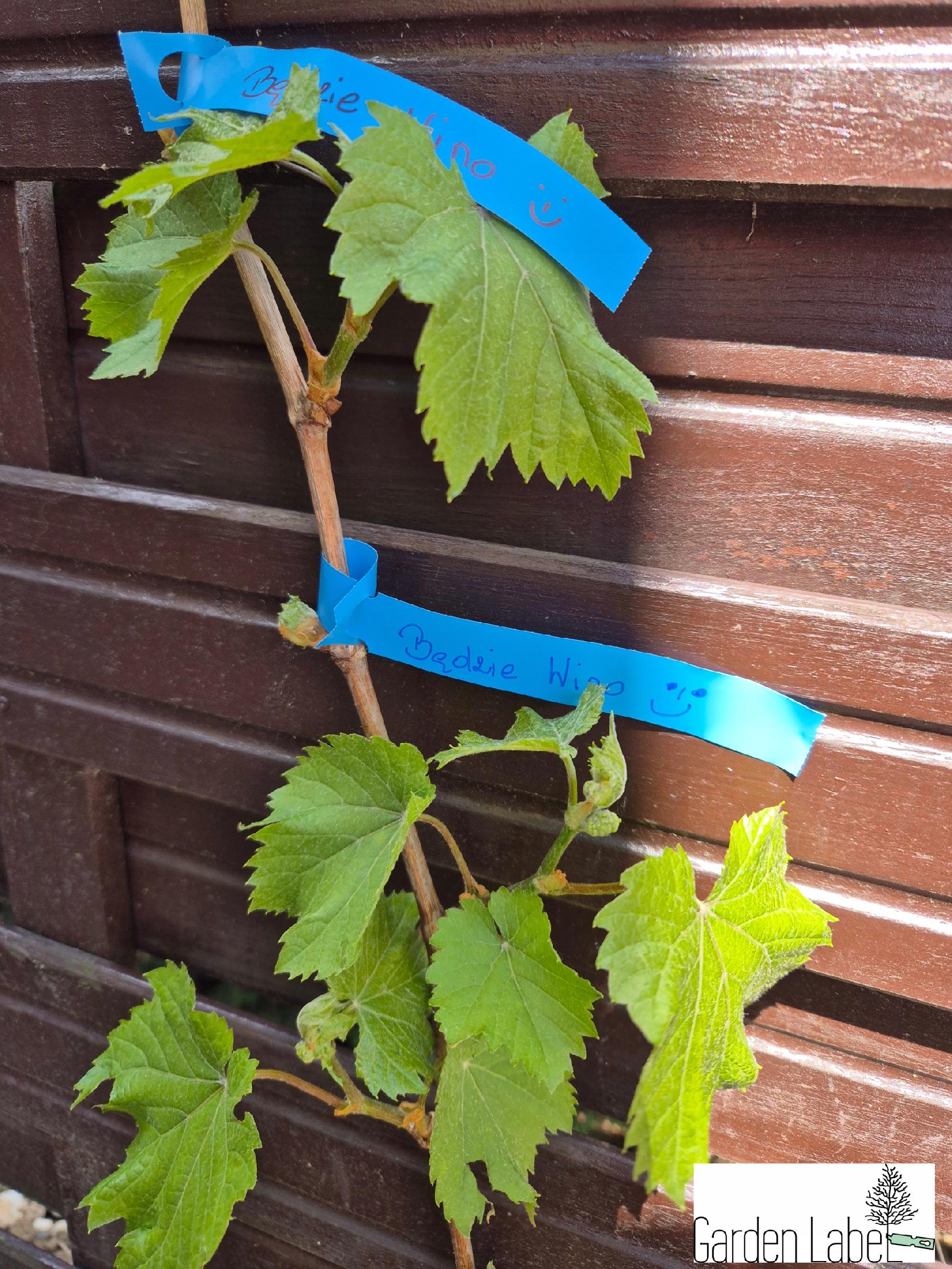 423d26f96bcee8712195039d374929e1