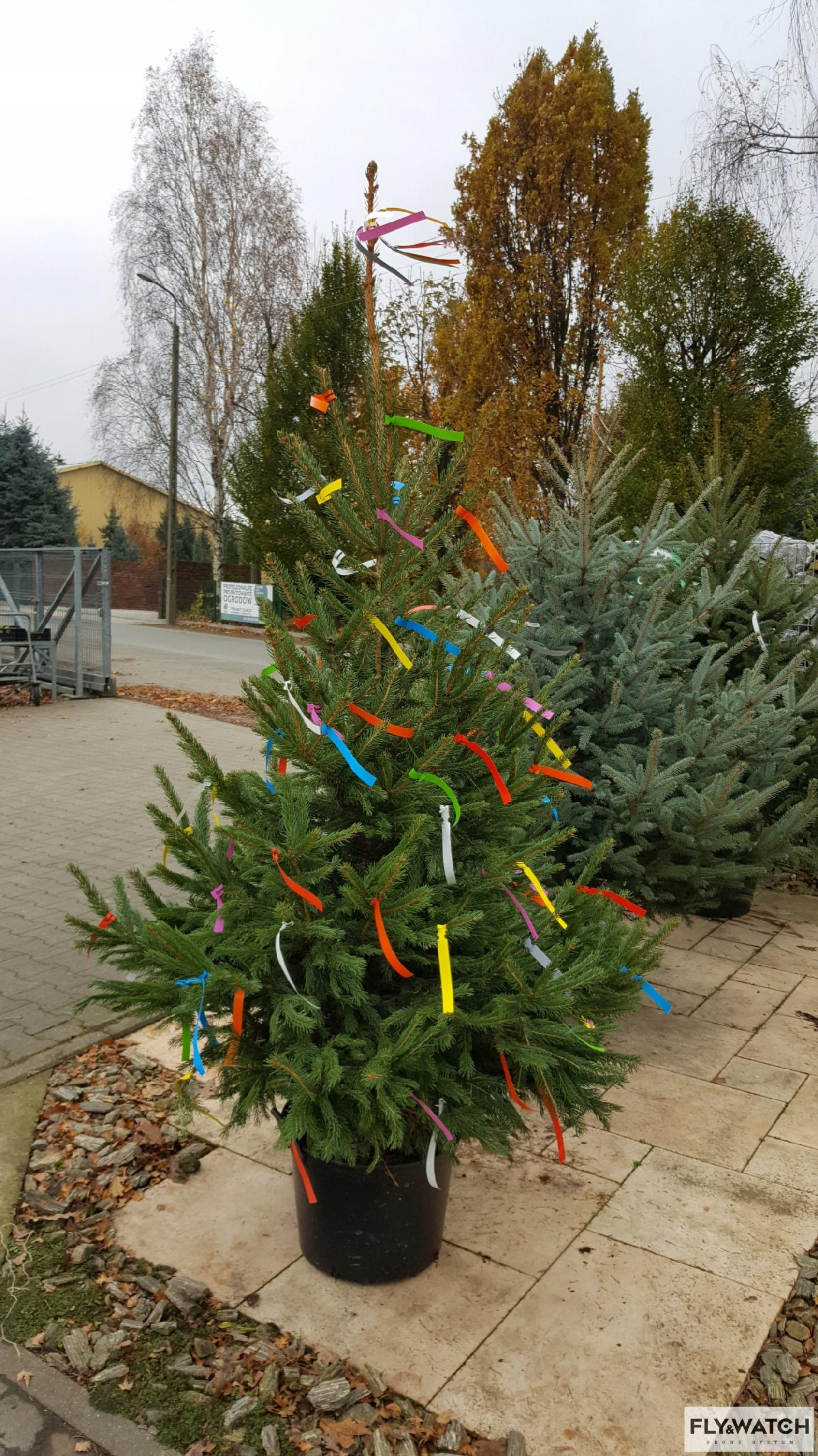 bb2b000a52ff72c7b3f39ece8ede88a4