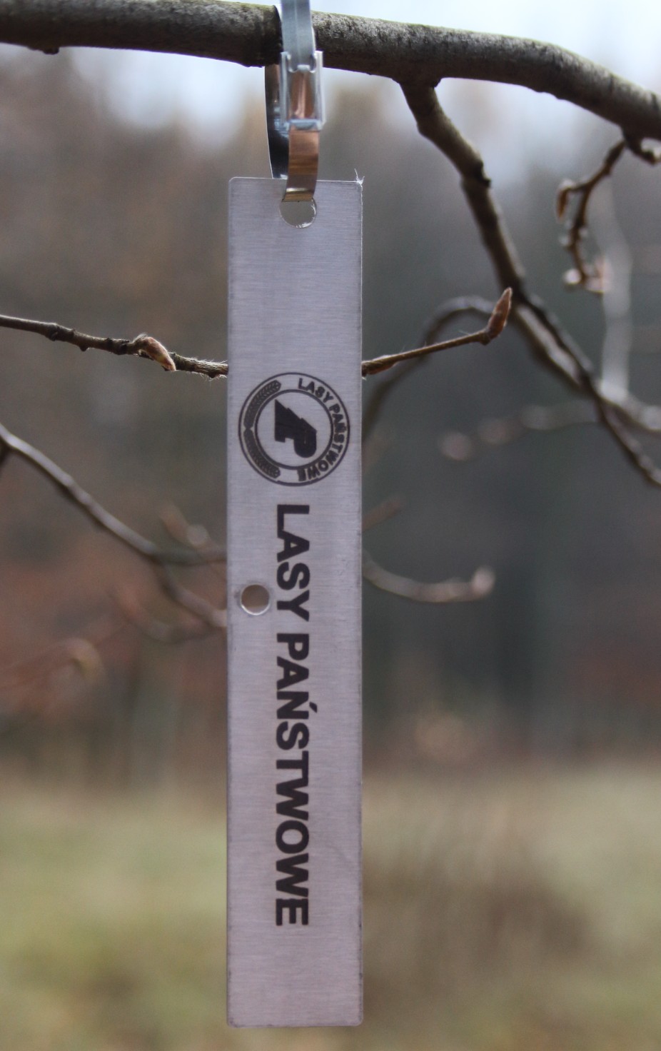 576bbf3d306e288e8af54aaceb780b75