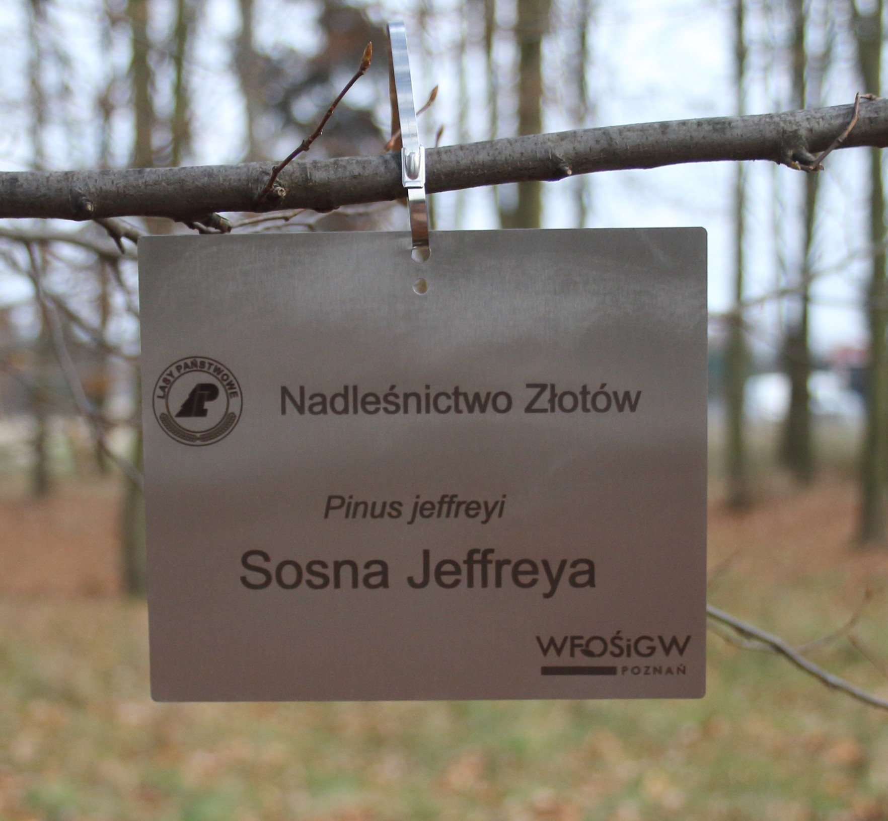 4b1ddb8294814596fcf2938699119dee