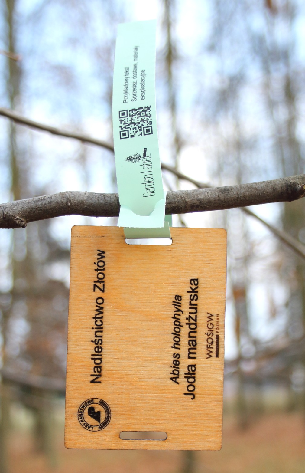 9d3a9642be1e101fb55565a12e1d7994