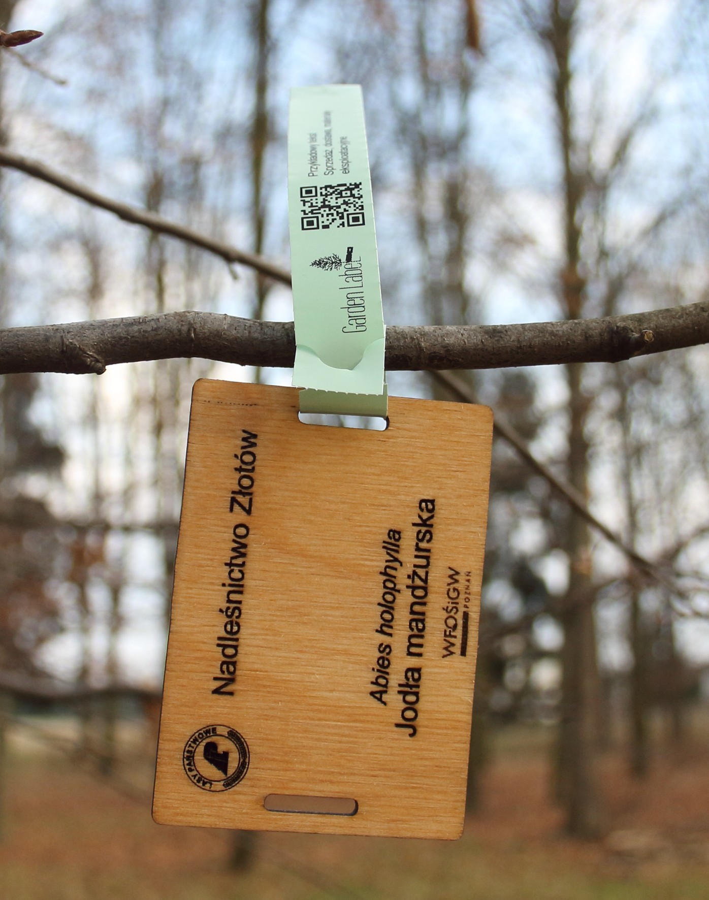 20fe2ae2005e19bbfce1500b97cf6ced