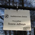 fe9c2506639af0d942d71c0a832d8b43